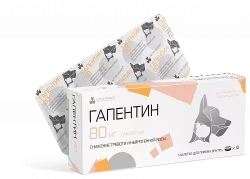 ГАПЕНТИН 80 мг Таблетки (10 шт) Nita (габапентин 80 мг) - фото, картинка ГАПЕНТИН 80 мг Таблетки (10 шт) Nita (габапентин 80 мг) - фото